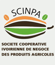 Filière Café-cacao : La Coopérative SCINPA obtient son agrément d’exportation